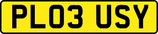 PL03USY