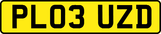 PL03UZD