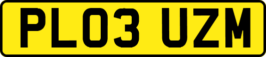 PL03UZM