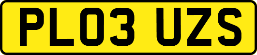 PL03UZS