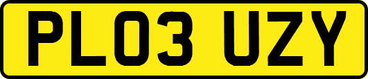 PL03UZY