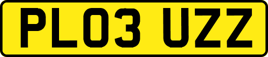PL03UZZ