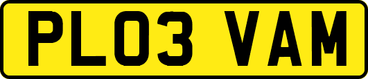 PL03VAM