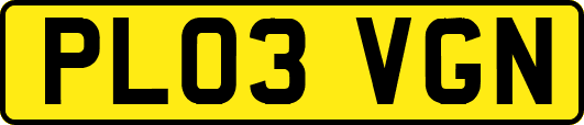 PL03VGN
