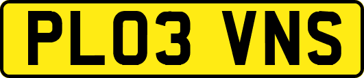 PL03VNS