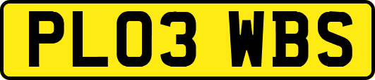 PL03WBS