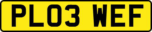 PL03WEF