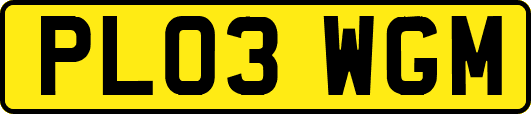 PL03WGM