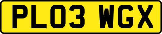 PL03WGX