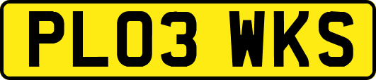 PL03WKS