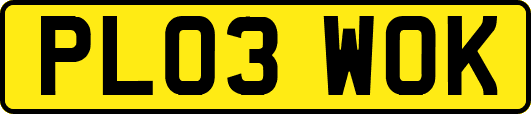 PL03WOK