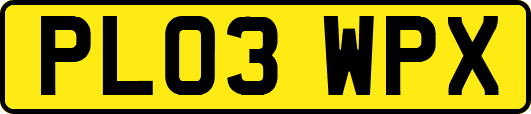 PL03WPX
