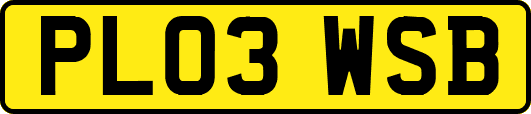 PL03WSB