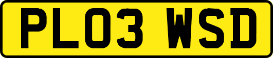 PL03WSD