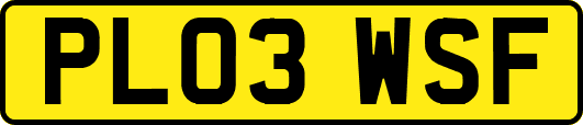 PL03WSF