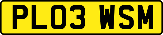 PL03WSM