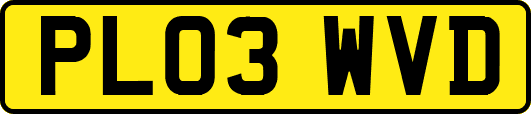 PL03WVD
