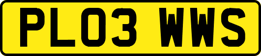 PL03WWS