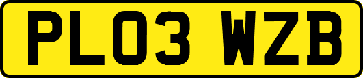 PL03WZB