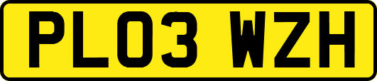 PL03WZH