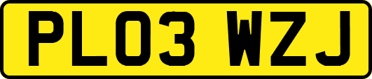 PL03WZJ