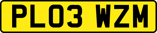 PL03WZM