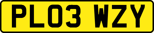 PL03WZY
