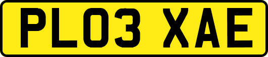 PL03XAE