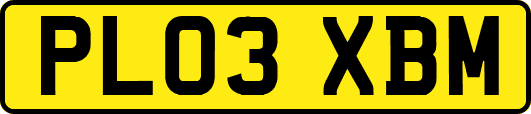 PL03XBM