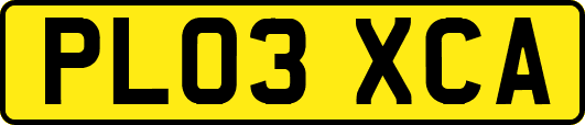 PL03XCA