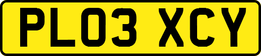 PL03XCY