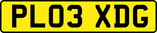 PL03XDG