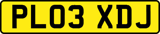 PL03XDJ