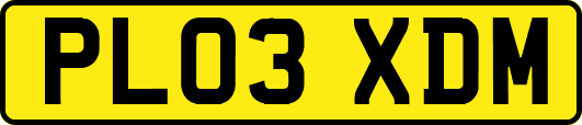 PL03XDM