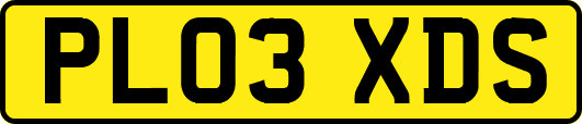 PL03XDS