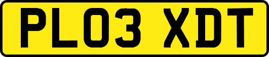 PL03XDT