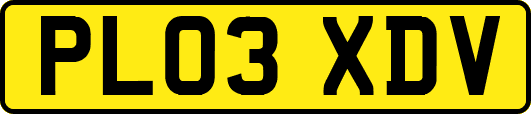 PL03XDV