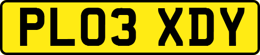 PL03XDY