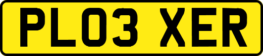 PL03XER