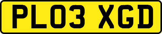 PL03XGD