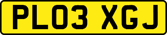 PL03XGJ