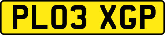 PL03XGP