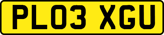PL03XGU