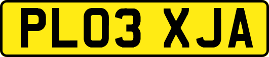 PL03XJA