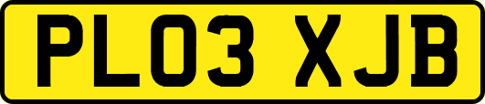 PL03XJB