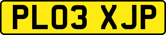 PL03XJP