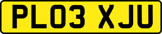 PL03XJU