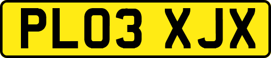 PL03XJX