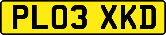 PL03XKD