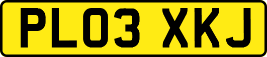 PL03XKJ